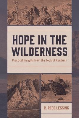 Hope in the Wilderness - R Reed Lessing - cover