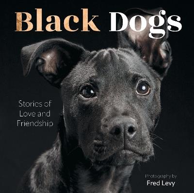 Black Dogs: Stories of Love and Friendship - Fred Levy - cover