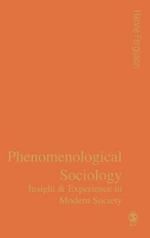 Phenomenological Sociology: Experience and Insight in Modern Society
