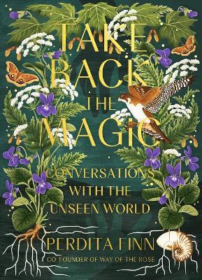 Take Back the Magic: Conversations with the Unseen World - Perdita Finn - cover