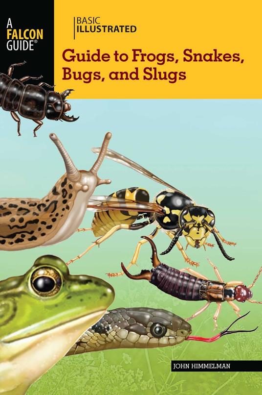 Basic Illustrated Guide to Frogs, Snakes, Bugs, and Slugs