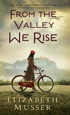 From the Valley We Rise - Elizabeth Musser - cover
