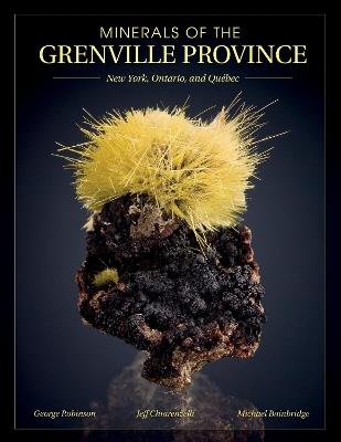 Minerals of the Grenville Province: New York, Ontario, and Québec - Jeffrey Chiarenzelli,George W. Robinson,Michael Bainbridge - cover