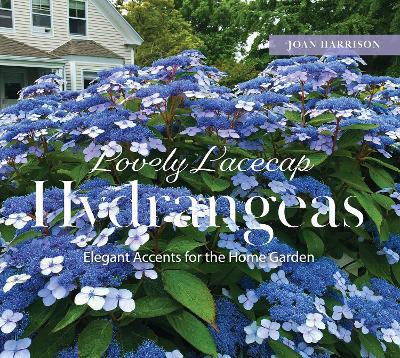 Lovely Lacecap Hydrangeas: Elegant Accents for the Home Garden - Joan Harrison - cover