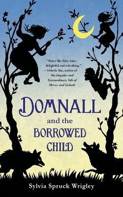 Domnall and the Borrowed Child - Sylvia Spruck Wrigley - cover