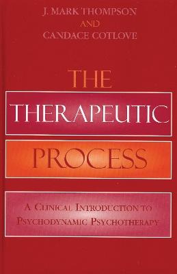 The Therapeutic Process: A Clinical Introduction to Psychodynamic Psychotherapy - Mark J. Thompson,Candace Cotlove - cover