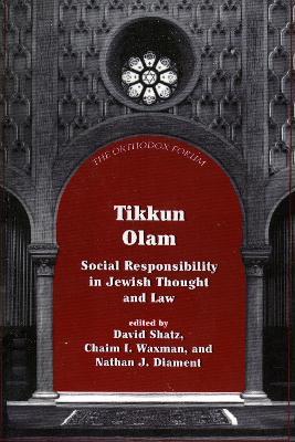 Tikkun Olam: Social Responsibility in Jewish Thought and Law - cover