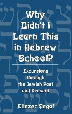 Why Didn't I Learn This in Hebrew School?: Excursions Through the Jewish Past and Present - Eliezer Segal - cover