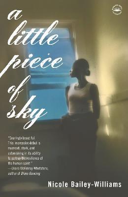 A Little Piece of Sky: A Novel - Nicole Bailey Williams - cover