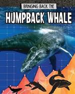 Humpback Whale: Bringing Back The