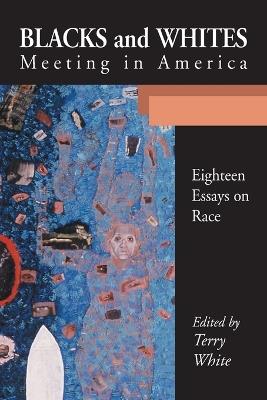 Blacks and Whites Meeting in America: Eighteen Essays on Race - cover