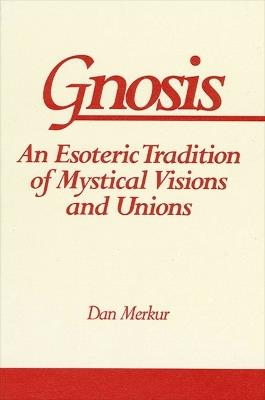 Gnosis: An Esoteric Tradition of Mystical Visions and Unions - Dan Merkur - cover