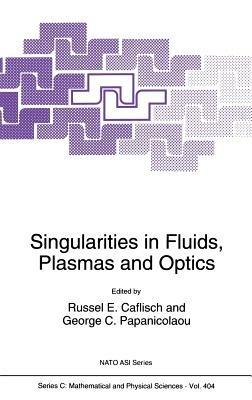 Singularities in Fluids, Plasmas and Optics - cover