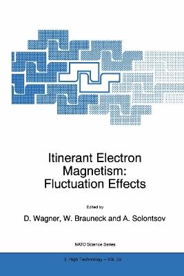 Itinerant Electron Magnetism: Fluctuation Effects - cover