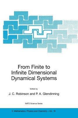 From Finite to Infinite Dimensional Dynamical Systems - cover