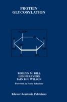 Protein Glycosylation - Roslyn M. Bill,Leigh Revers,Iain B.H. Wilson - cover