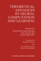 Theoretical Advances in Neural Computation and Learning - cover