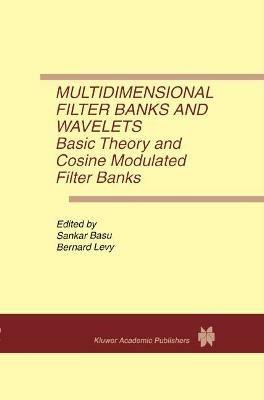 Multidimensional Filter Banks and Wavelets: Basic Theory and Cosine Modulated Filter Banks - cover