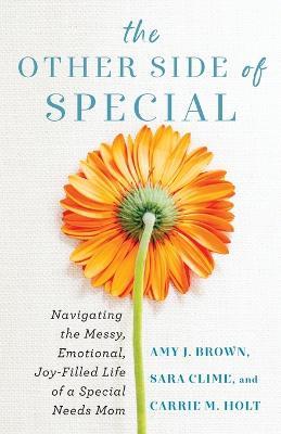 The Other Side of Special – Navigating the Messy, Emotional, Joy–Filled Life of a Special Needs Mom - Amy J Brown,Sara Clime,Carrie M Holt - cover