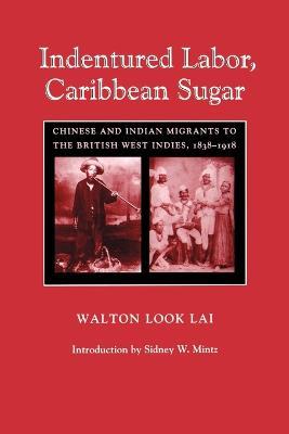 Indentured Labor, Caribbean Sugar: Chinese and Indian Migrants to the British West Indies, 1838-1918 - Walton Look Lai - cover
