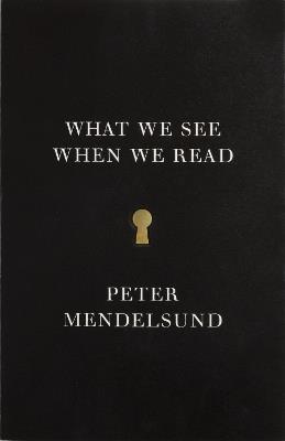 What We See When We Read - Peter Mendelsund - cover