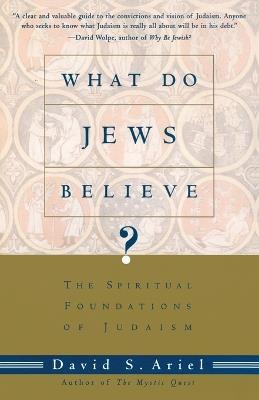 What Do Jews Believe?: The Spiritual Foundations of Judaism - David Ariel - cover