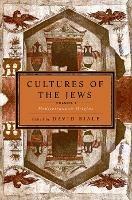 Cultures of the Jews, Volume 1: Mediterranean Origins (National Jewish Book Award) - cover