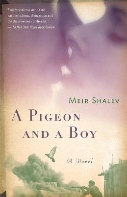 A Pigeon and a Boy: A Novel - Meir Shalev - cover