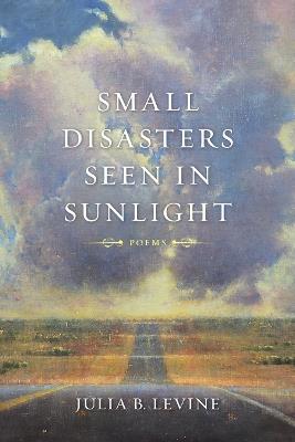 Small Disasters Seen in Sunlight: Poems - Julia B. Levine - cover