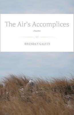 The Air's Accomplices: Poems - Brendan Galvin - cover