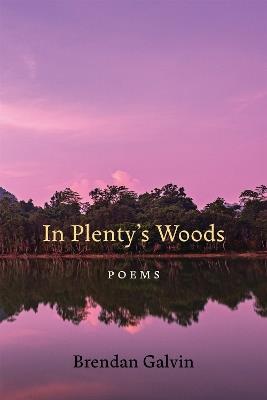 In Plenty's Woods: Poems - Brendan Galvin - cover