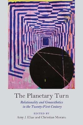 The Planetary Turn: Relationality and Geoaesthetics in the Twenty-First Century - cover
