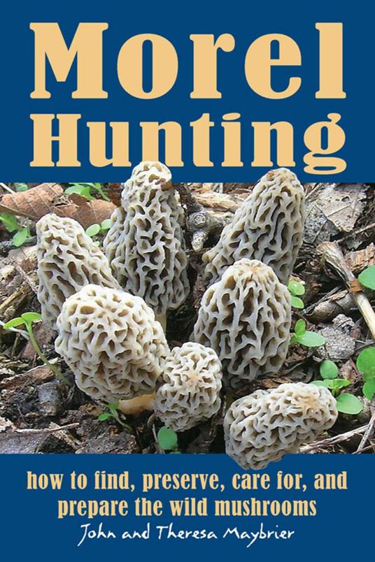 Morel Hunting