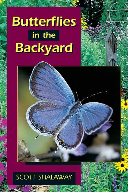 Butterflies in the Backyard