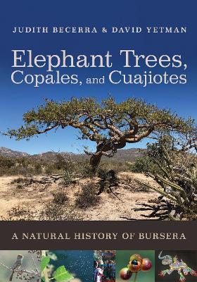 Elephant Trees, Copales, and Cuajiotes: A Natural History of Bursera - Judith X. Becerra,David Yetman - cover