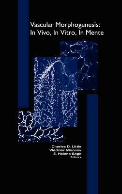Vascular Morphogenesis: In Vivo, In Vitro, In Mente - cover