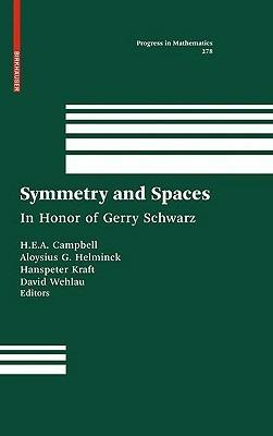 Symmetry and Spaces: In Honor of Gerry Schwarz - cover