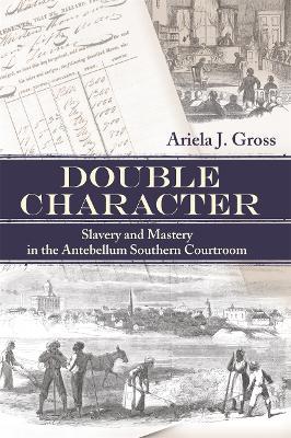 Double Character: Slavery and Mastery in the Antebellum Southern Courtroom - Ariela J. Gross - cover