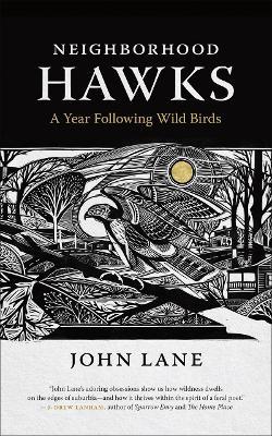 Neighborhood Hawks: A Year Following Wild Birds - John Lane - cover