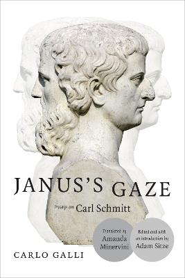 Janus's Gaze: Essays on Carl Schmitt - Carlo Galli - cover