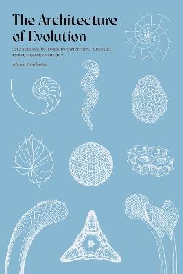 The Architecture of Evolution: The Science of Form in Twentieth-Century Evolutionary Biology - Marco Tamborini - cover
