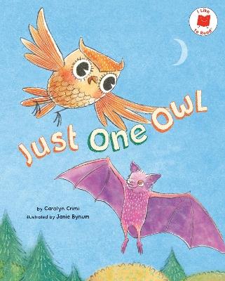 Just One Owl - Carolyn Crimi - cover
