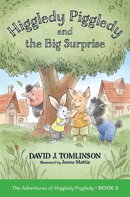 Higgledy Piggledy and the Big Surprise: The Adventures of Higgledy Piggledy Book 3 Volume 3 - David J Tomlinson - cover
