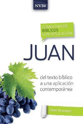Comentario Bíblico Con Aplicación NVI Juan: del Texto Bíblico a Una Aplicación Contemporánea - Gary M Burge - cover