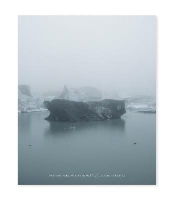 Roni Horn: Water Water On the Wall, You’re the Fairest of Them All - Nora Burnett Abrams,Jarrett Earnest - cover