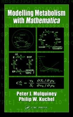 Modelling Metabolism with Mathematica - Peter Mulquiney,Philip W. Kuchel - cover