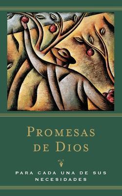 Promesas de Dios: Para cada una de sus necesidades - Jack Countryman - cover