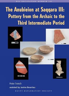 The Anubieion at Saqqara III: Pottery from the Archaic to the Third Intermediate Period - Peter French - cover