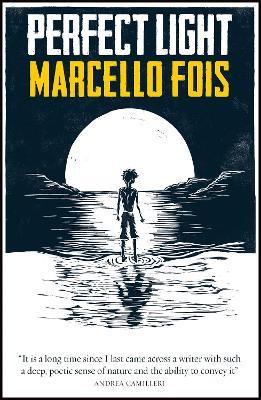 Perfect Light - Marcello Fois - cover