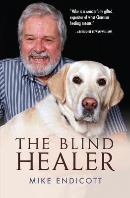 The Blind Healer - Mike Endicott - cover
